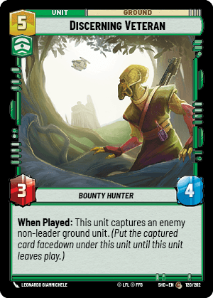 Discerning Veteran