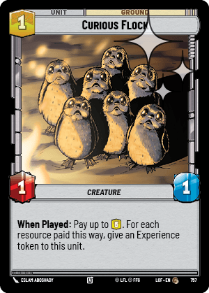 Curious Flock