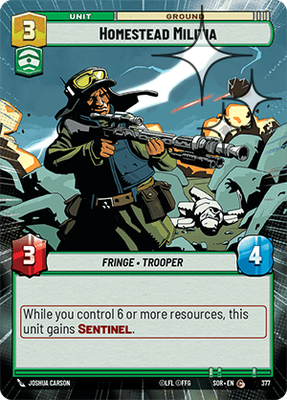 Homestead Militia SOR 377