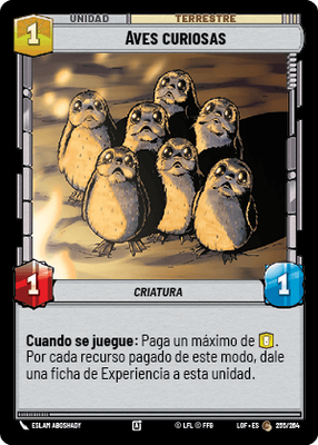 Aves curiosas