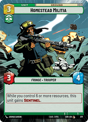Homestead Militia SOR 377