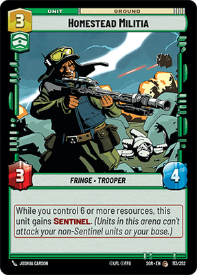 Homestead Militia SOR 113