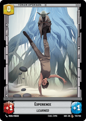 Experience SOR 1