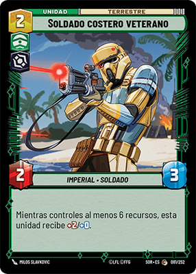 Soldado costero veterano